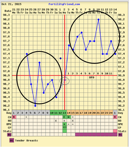 Bbt Charts With Bfp